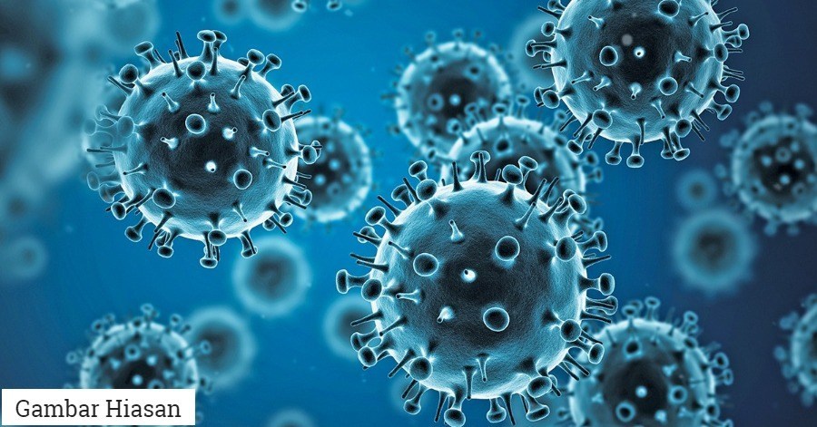 #Aromatherapy 101: Are essential oils antibacterial & antiviral?